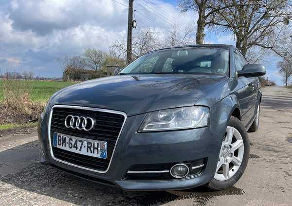 Audi A3 cena 21900 przebieg: 248000, rok produkcji 2011 z Chojnów małe 436